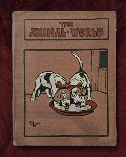 The animal world - animal, vol